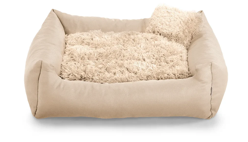 Fluffy Nelo dog bed in cream colour fabric with small pillow.