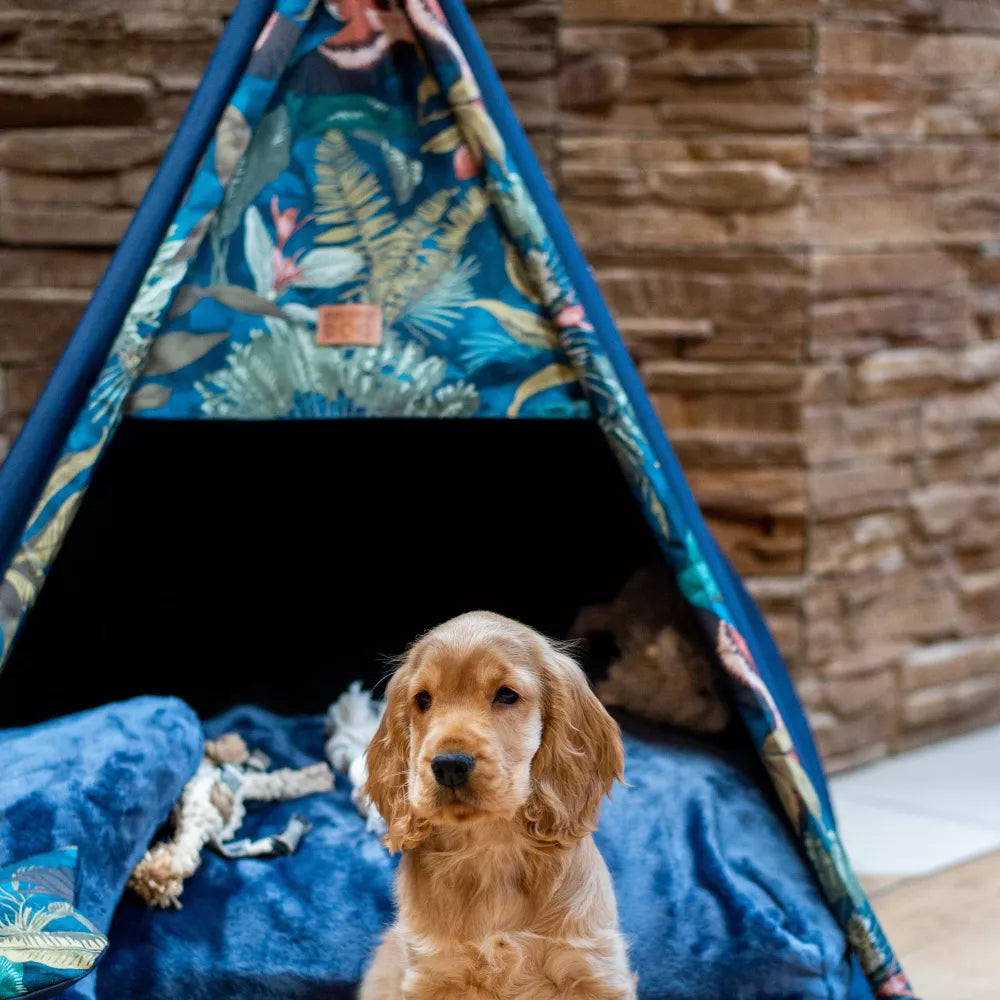 Cocker Spaniel sitting in front of a tipi-style dog bed with floral leaf pattern β tent features blue blanket and bone-shaped toys, set against a rustic brick wall background