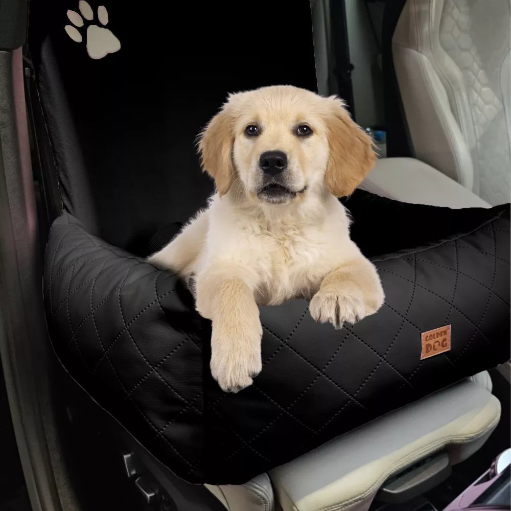 Car Seat Collection