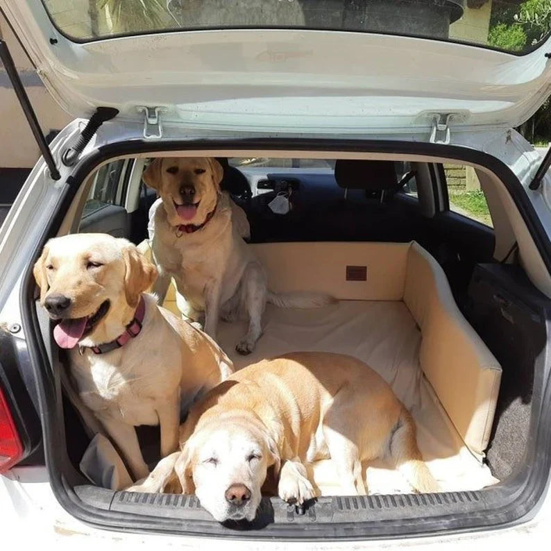 Waterproof Boot Mats for Dogs