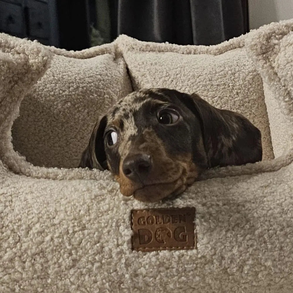 Boucle Crown Dog Bed — Cream Edition